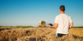 Plataforma da BB Seguros com marketplace focado em agronegócios registra mais de 200 mil acessos