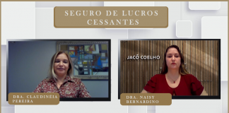 Desafios do Seguro de Lucros Cessantes