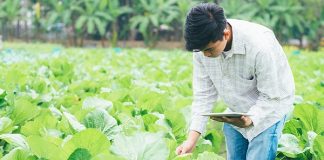 Ministério da Agricultura e FenSeg fecham acordo para certificação em seguro rural