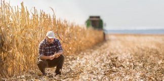 Seguro Rural: o que vai impactar o mercado em 2023?