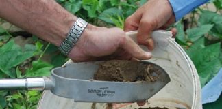 FF Seguros alerta sobre mudança para a elegibilidade de seguro agrícola