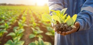 Mercado segurador brasileiro passa a contar com avaliação de critérios e práticas socioambientais