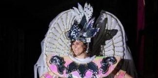 História do Seguro: tudo pronto para o desfile da Escola de Samba Protegidos da Princesa, em Santa Catarina