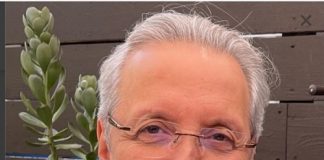 Open Insurance: VP da Fenacor diz que portaria da Susep é “um marco histórico”