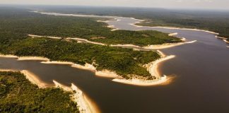 Seguradora francesa CNP Assurances investe em projeto para a bioeconomia na Amazônia