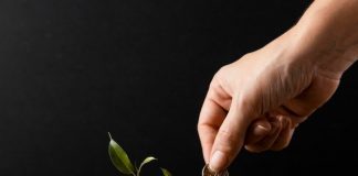 Aportes em previdência privada crescem 17,6%