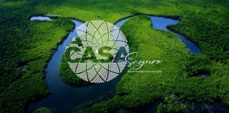 CNseg anuncia os primeiros empoderadores da Casa do Seguro