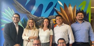 Sura: 80 anos de inovação e crescimento sustentável no mercado de seguros