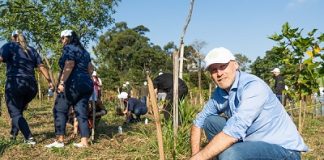 CNP Seguradora e Youse plantam mais de 500 mudas no Parque Ecológico do Tietê