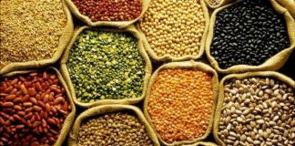 Safra recorde de grãos abre espaço para expansão do mercado de seguros