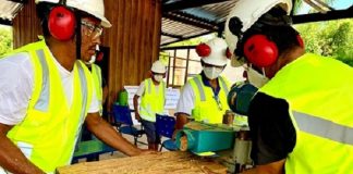 CNP Assurances leva à COP 30 projeto que promove empreendedorismo sustentável e preservação na Amazônia